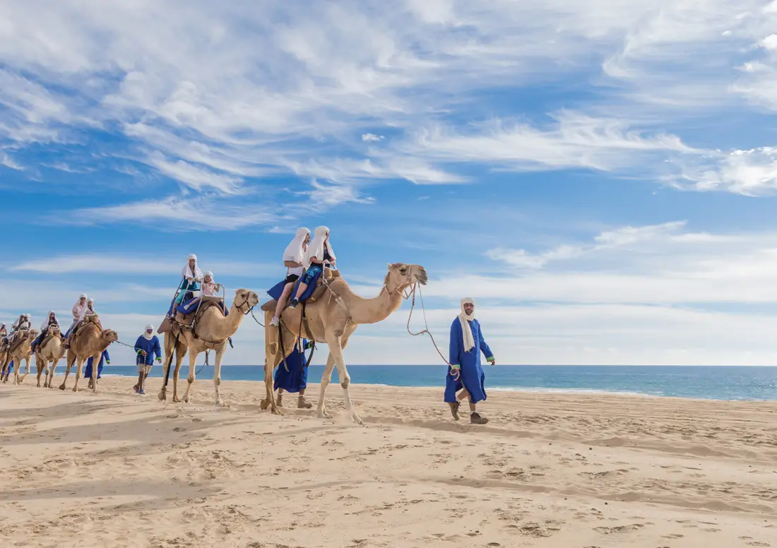 Group riding camels being led down the shores of Cabo, Mexico by a guide.