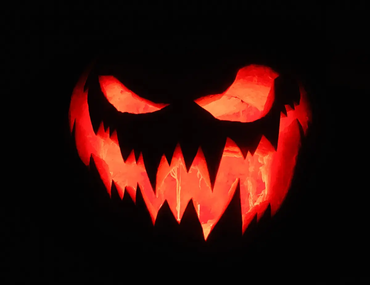 Lit up Jack O' Lantern in the dark, you can see some of the guts with the light. 