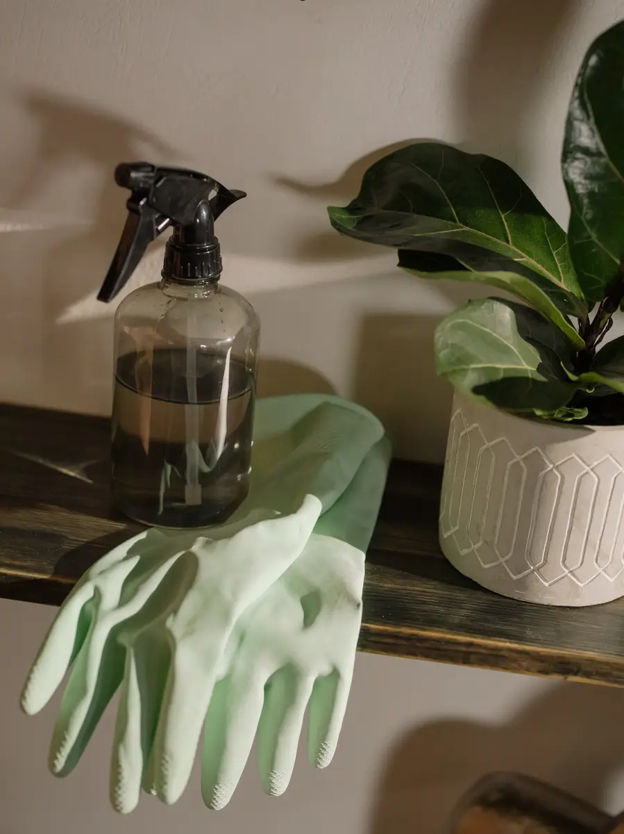  Gloves and cleaning spray on a shelf. 