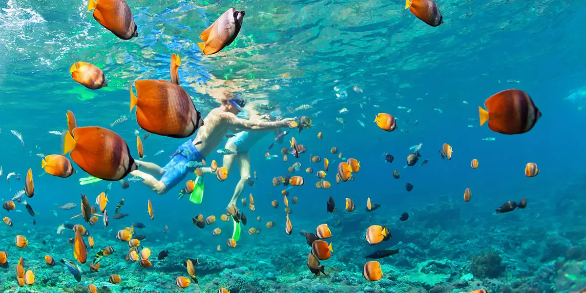Two people swimming with a bunch of colorful, tropical fish.