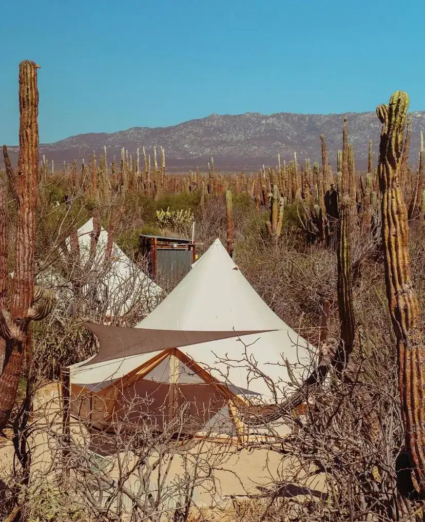 Glamping tent in the middle of the desert at La Ventana.