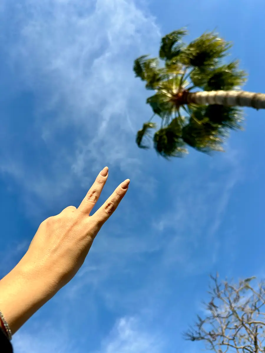 Shot of the sky with a palm tree peeking in and a hand making a peace sign. 