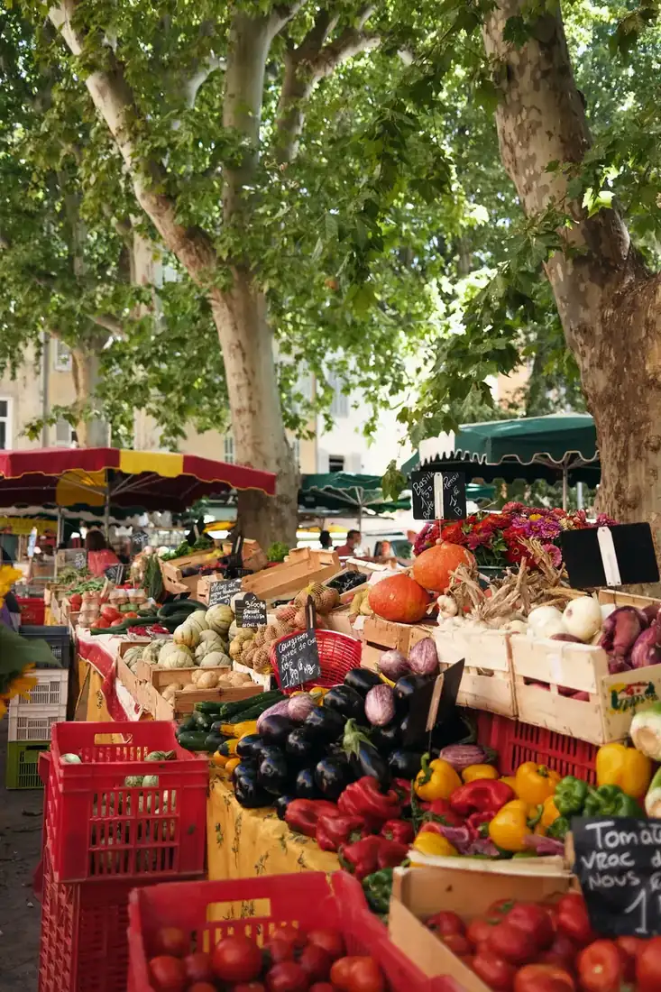 Farmer's market with tents, crates full of fruits and vegetables, surrounded by trees. 