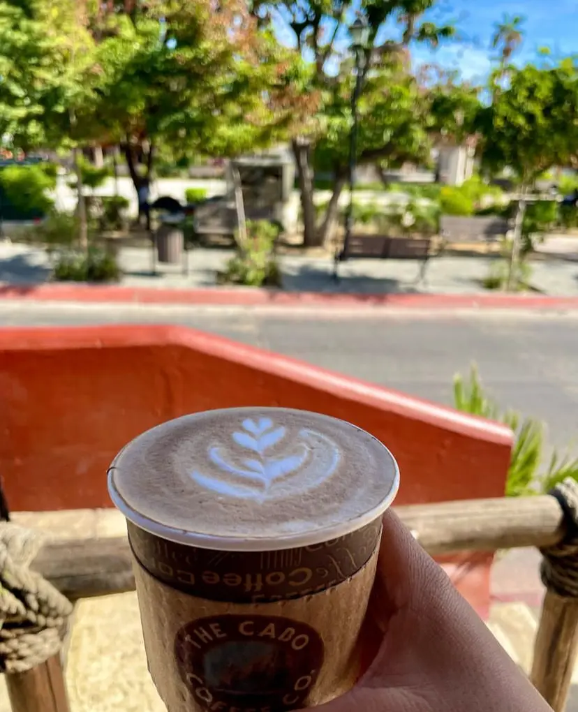 Person holding out a latte with foam art at The Cabo Coffee Company in downtown Cabo, Mexico. 