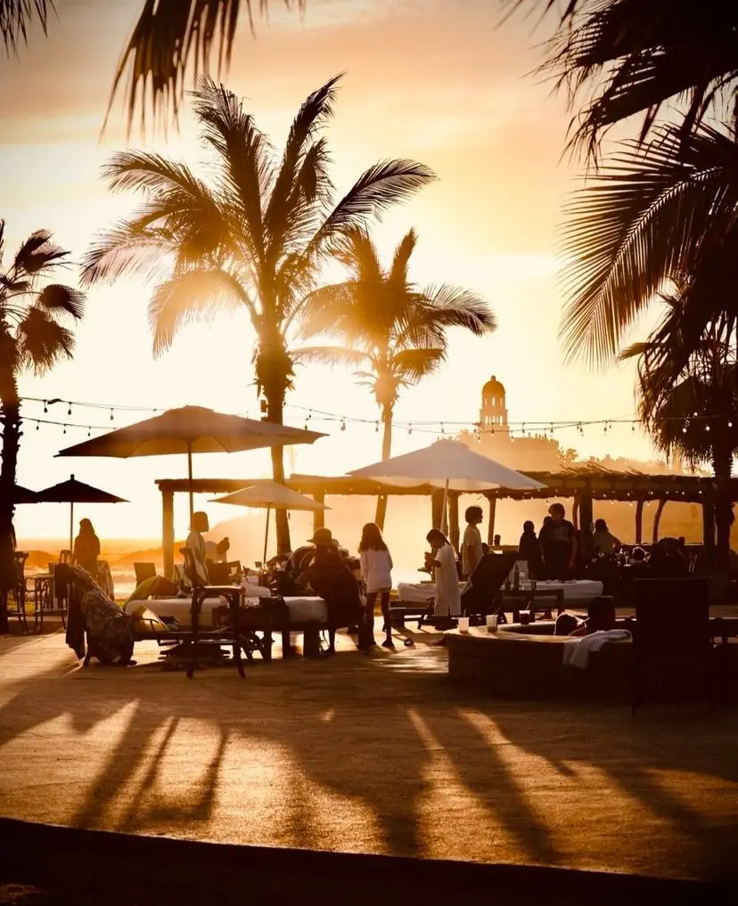 Sunset seen from a restaurant, golden sun light shinning through palm trees.