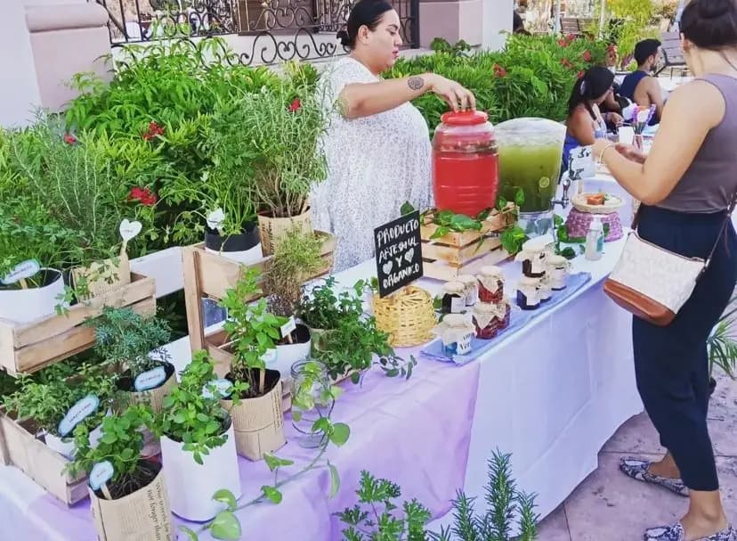 Local vendor selling herbs at the Art Walk of Cabo, Mexico.