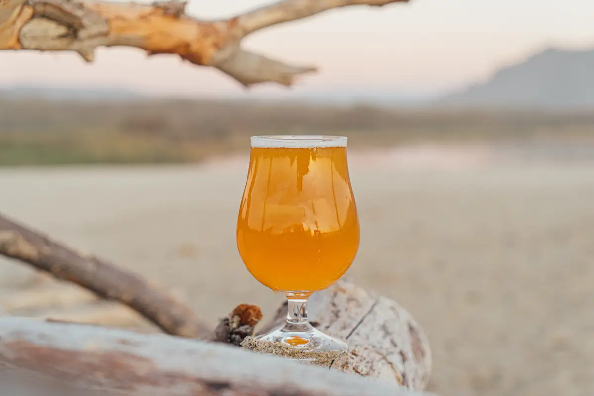Pale Ale sitting on a log with a desert scene for the background.