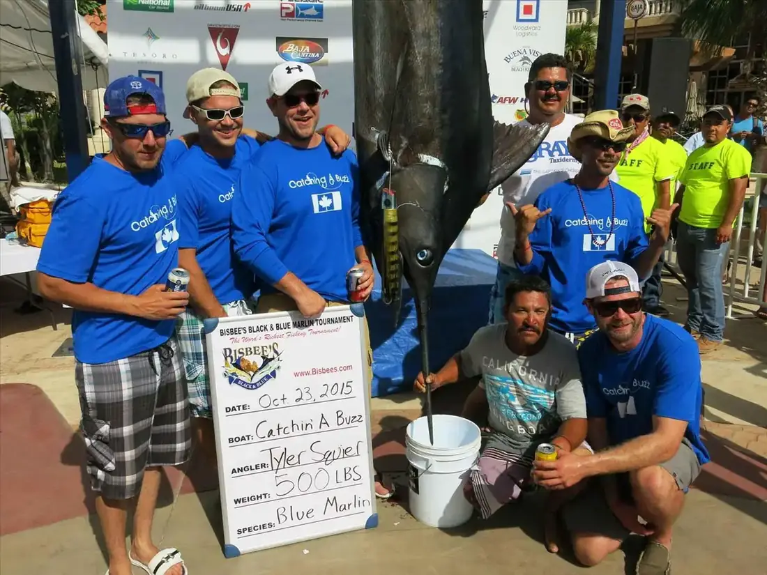 Group of fishers posing with winning marlin.