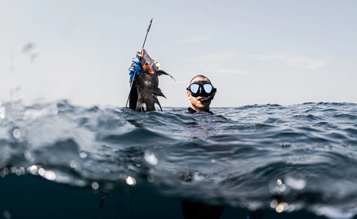 Man breaching the surface, wearing snorkel gear and holding his catch and spear in one hand.