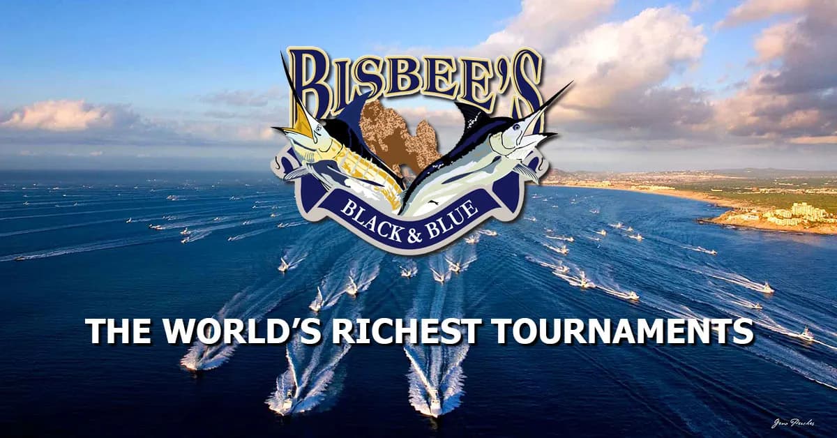 Picture of all the boats sailing out of the marina in Cabo for the tournament, Bisbee's logo on top of it.
